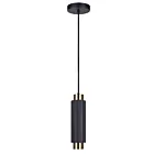 Canarm IPL1231A01BKG10 1-Lumière 50W Noir mat Suspendu