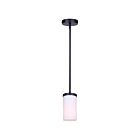 Canarm IPL1234A01BK-FO Britton 1-lumière 60W Noir mat Suspendu