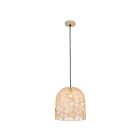Canarm IPL2157B01NA Indy 1-Lumière Naturel Suspendu 