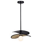 Canarm IPL2181B01BKP 1-Lumière 60W Noir mat Suspendu