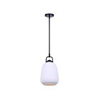 Canarm IPL2263B01BK Kaslo 1-lumière 60W Noir mat Suspendu