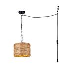 Canarm IPL2272B01NA Ruppia Swag 40W Noir Suspendu