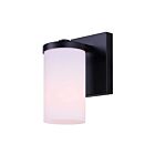 Canarm IVL1234A01BK-FO Britton 1-lumière 100W Noir mat Lumière Vanité