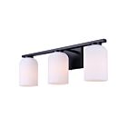 Canarm IVL1241A03BK Bram 3-lumières 60W Noir mat Lumière Vanité