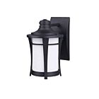 Lanterne murale Canarm série Maya noire IOL138BK