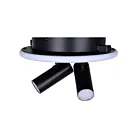 Canarm LCW314A02BK 17W Noir mat et faux bois LED Lampe sur rail