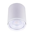 CSC LED CYL-35W-3P-4CCT-UD-WH Blanc Lampe Cylindrique Wattage et CCT Sélectionnable