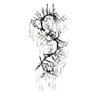 Lustre CWI Lighting Anita 1094P26-12-101 480W 12 lumières noir