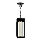 Lampe d'extérieur suspendue CWI Lighting 1696P5-1-101 6W Noir