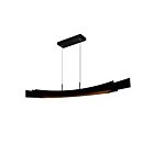 CWI Lighting Candora 1698P72-101 Noir 36W Lustre