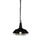 Suspendu CWI Lighting Morgan 9611P11-1-101 60W 1 lumière noir