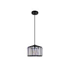 Suspendu CWI Lighting Alethia 9942P10-1-101-C 60W 1 lumière noir