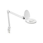 Lampe de table à LED réglable Dainolite DMLED10-A-5D-WH 1-Lumière 8W Blanc