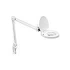 Lampe de table à LED réglable Dainolite DMLED10-A-WH 1-Lumière 8W Blanc