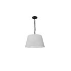 Suspendu à chaîne Dainolite BRY-S-BK-790 Brynn 1-Lumière Noir