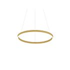 Lustre à 1 étage LED Dainolite Circulo CIR-3263C-AGB 63W 1 lumière laiton vieilli