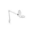 Lampe de table à LED réglable Dainolite DMLED10-A-5D-WH 1-Lumière 8W Blanc