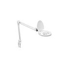 Lampe de table à LED réglable Dainolite DMLED10-A-WH 1-Lumière 8W Blanc