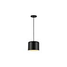 Suspendu incandescent Dainolite Emilia EMI-81P-MB 1-lumière 60W noir mat