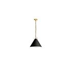 Suspendu incandescent Dainolite Princeton PCN-161P-AGB-797 100W 1 lumière noir