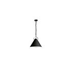 Suspendu incandescent Dainolite Princeton PCN-161P-MB-797 100W 1 lumière noir