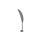 Lampe sur pied Dainolite PMA-7022F-MB-500 Palma 1-Lumière Noir mat 22W