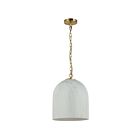 Dainolite PRC-121P-AGB Patrice 1-lumière 60W Imitation albâtre LED Suspendu