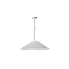 Suspendu incandescent Dainolite Paisley PSY-L-MW-790 100W 1-Lumière blanc