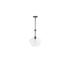 Suspendu incandescent Dainolite Petalite PTL-101P-MB 100W 1 lumière transparent
