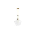 Suspendu incandescent Dainolite Petalite PTL-121P-AGB 100W 1 lumière transparent