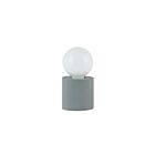 Lampe de table à LED Dainolite TYA-31T-GRY Tonya 1-Lumière Gris 60W