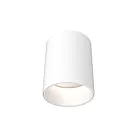 Dals Lighting CYL05-CC-WH 5" Blanc Cylindre encastré avec lentilles multiples