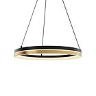 Dals Lighting PDR14-CC-BG Eclipse 25W Noir et or Suspendu