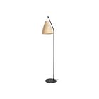 Eglo 205785A 40W Noir Lampadaire