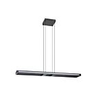 Eglo 206018A 35W Noir Suspendu