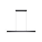 Eglo 206038A 32W Noir Suspendu