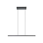 Eglo 206045A 17W Noir Suspendu