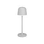 Eglo 206543A 2W Gris LED Lampe de table