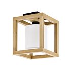 Eglo 390097A 40W Noir et marron Montage semi-encastré