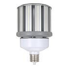 Ampoule de remplacement HID LED grand format Eiko LED100WPT50KMOG-G8 100w 5000K