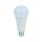 Ampoule A21 omni LED Eiko LED19WA21-OMN-850-G8 19W 5000K