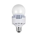 Lampe de remplacement LED A21 HID Eiko LED20WA21-850-U 20W 2900L 5000K