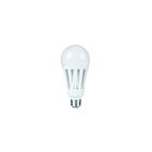 Ampoule A23 omni LED Eiko LED29WA23-OMN-840-G8 29W 4000K