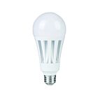 Ampoule A23 omni LED Eiko LED29WA23-OMN-850-G8 29W 5000K