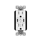 Enerlites 61501-2C-PD60-W 15A 125V Blanc Réceptacle