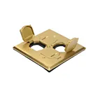 Enerlites C975549-C-GD Couvercle de boîte de sol 2 gang avec couvercle rabattable