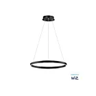 ET2 Lighting E22724-BK Groove WiZ 1-Lumière 27W Noir Suspendu