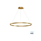 ET2 Lighting E22728-GLD Groove WiZ 1-Lumière 41W Or Suspendu