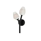 ET2 Lighting Blossom E32792-93BK 2-Lumières Noir 8W Applique murale LED