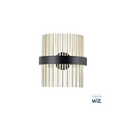 ET2 Lighting Chimes WiZ E34201-BKSNSBR 2-Lumières Noir/Nickel satiné/Laiton satiné 34W Applique murale LED